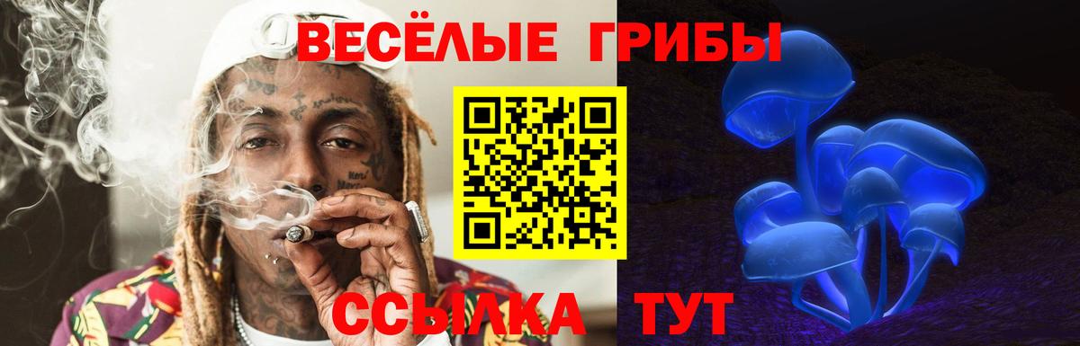 Северодвинск  Галлюциногенные грибы мицелий  Вход с VPN 